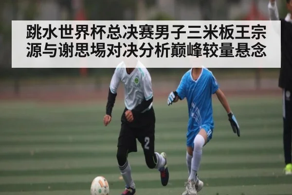跳水世界杯总决赛男子三米板王宗源与谢思埸对决分析巅峰较量悬念